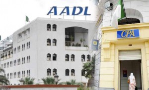 adl cpa