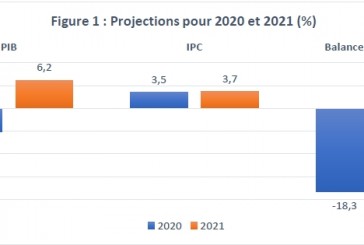 Note de conjoncture trimestrielle :   sur les prévision du Fmi , Care annonce une baisse du PIBde 5,2%