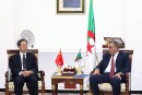 Algérie – Chine : vers un renforcement du partenariat stratégique dans le domaine ferroviaire