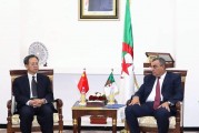 Algérie – Chine : vers un renforcement du partenariat stratégique dans le domaine ferroviaire