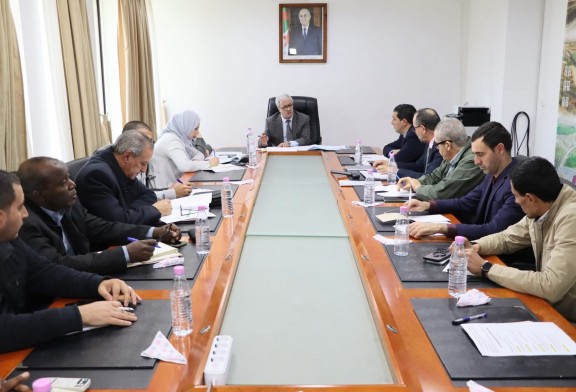 In Salah : Suivi du chantier des RN01 et RN52