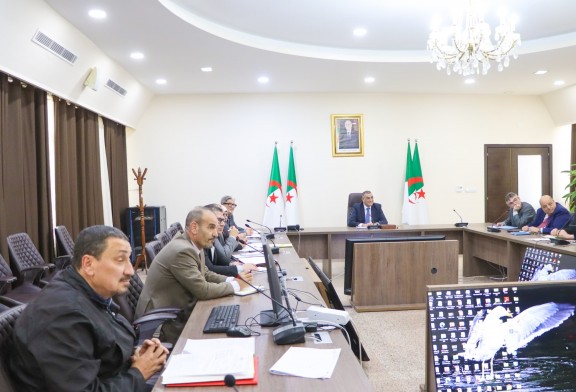 Ligne ferroviaire Laghouat–Ghardaïa–El Meniaa : accélération des procédures pour le lancement effectif du projet